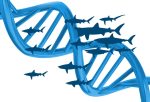 DNA-blue